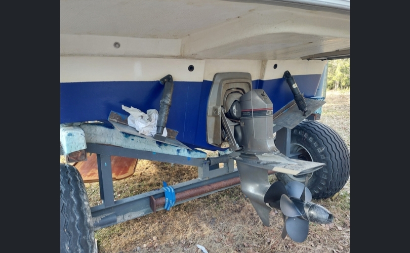 Bella Falcon 26-kuva-8